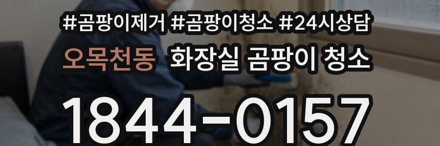 오목천동 화장실 곰팡이 청소