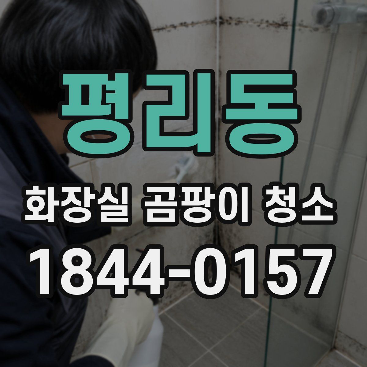 평리동 화장실 곰팡이 청소