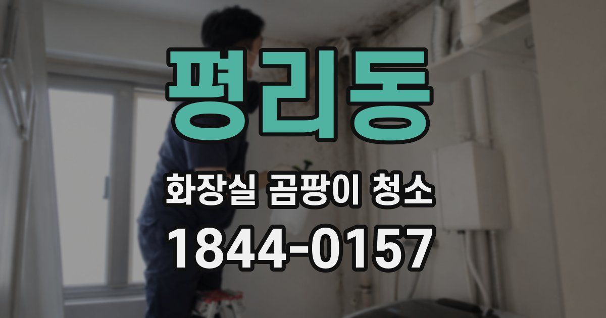 평리동 화장실 곰팡이 청소