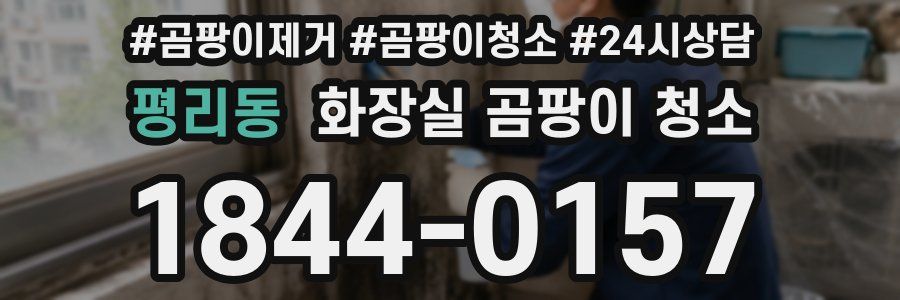 평리동 화장실 곰팡이 청소