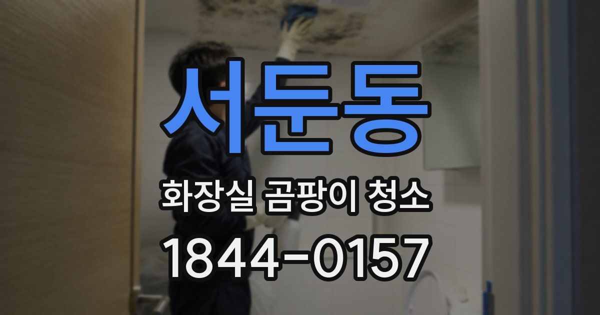 서둔동 화장실 곰팡이 청소