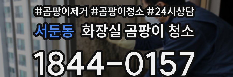 서둔동 화장실 곰팡이 청소