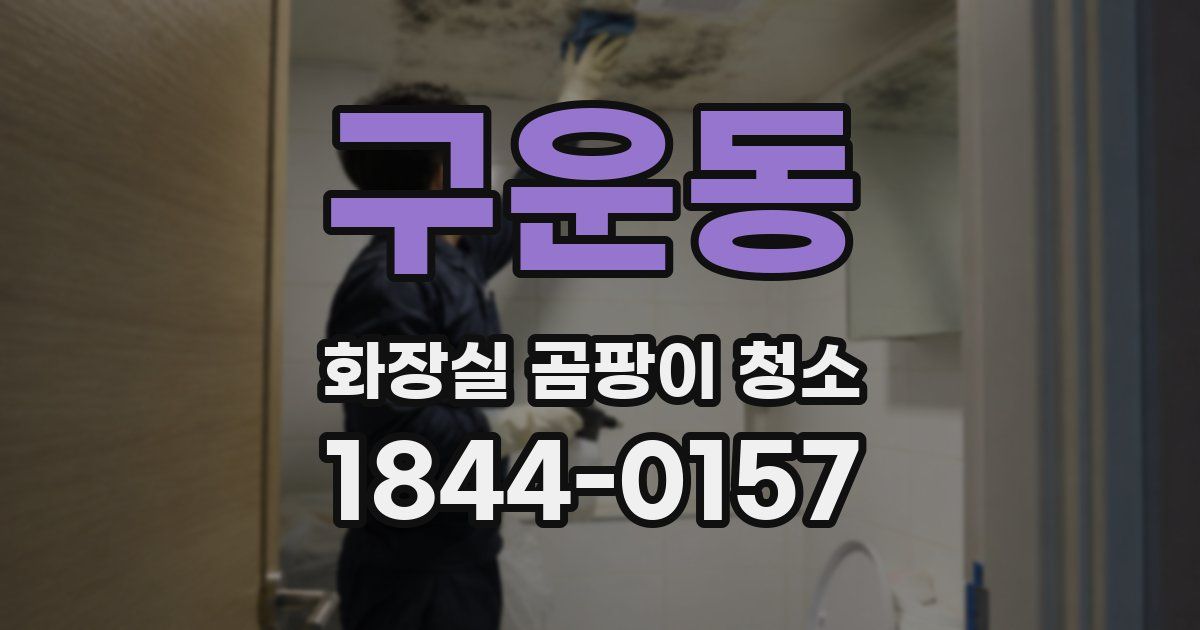 구운동 화장실 곰팡이 청소