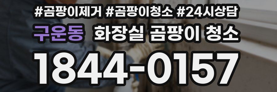 구운동 화장실 곰팡이 청소