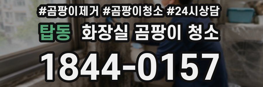 탑동 화장실 곰팡이 청소