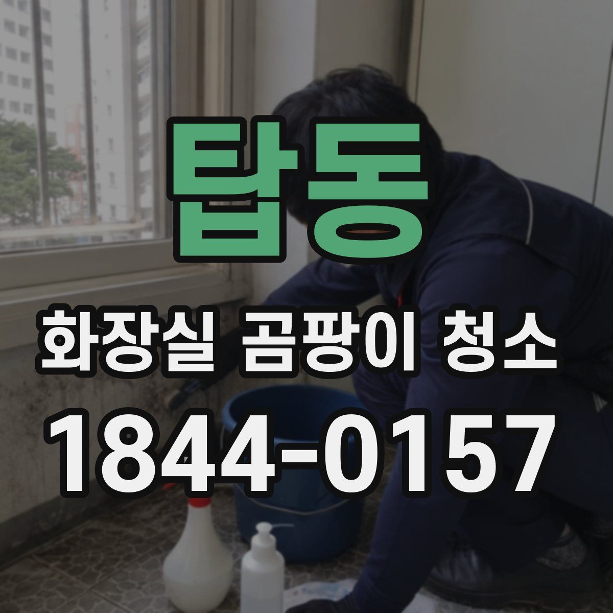 탑동 화장실 곰팡이 청소