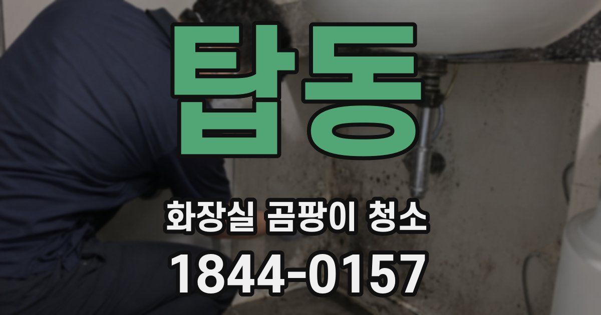 탑동 화장실 곰팡이 청소
