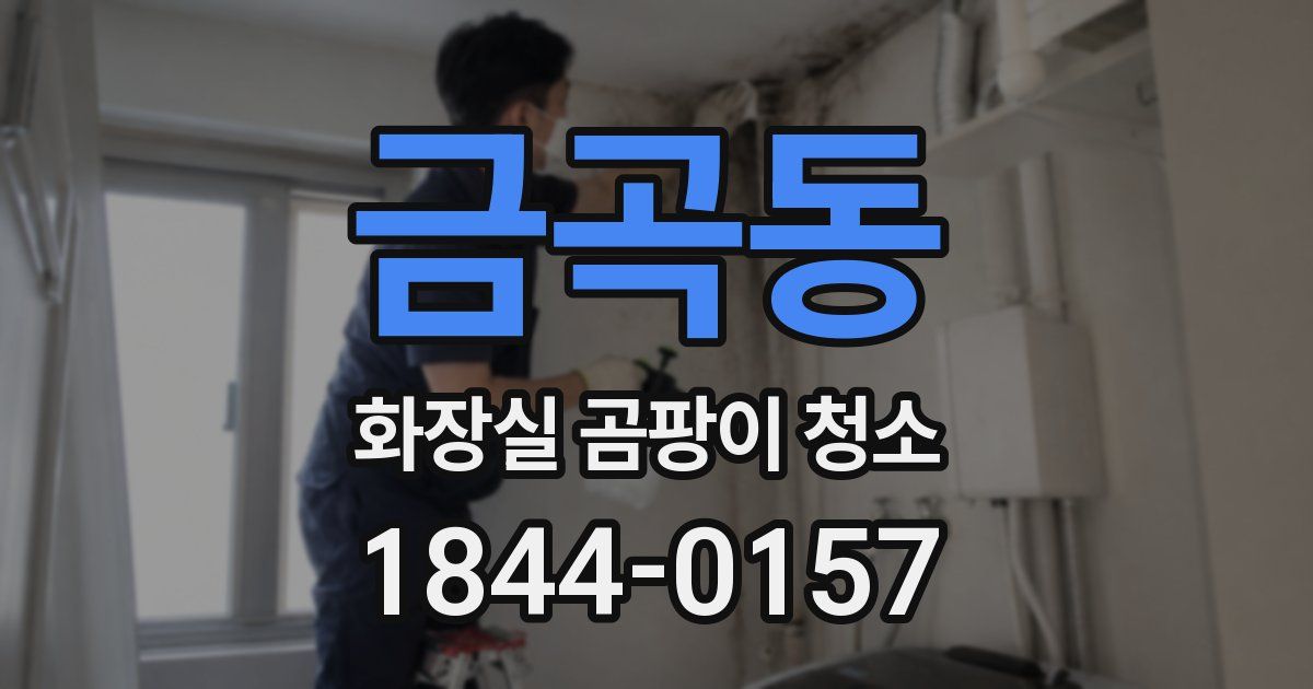 금곡동 화장실 곰팡이 청소