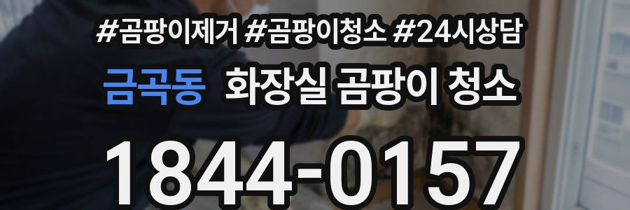 금곡동 화장실 곰팡이 청소