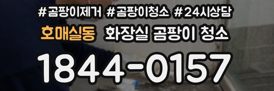 호매실동 화장실 곰팡이 청소