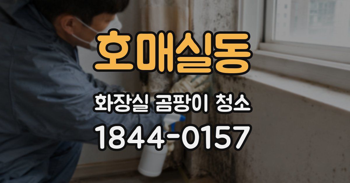 호매실동 화장실 곰팡이 청소
