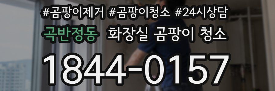 곡반정동 화장실 곰팡이 청소