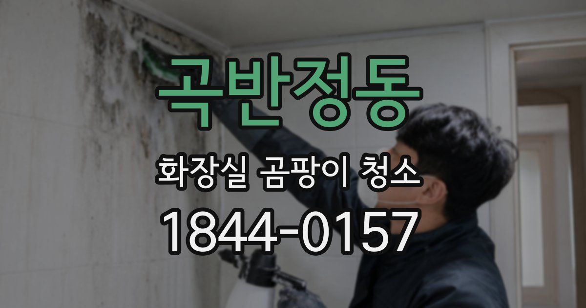곡반정동 화장실 곰팡이 청소
