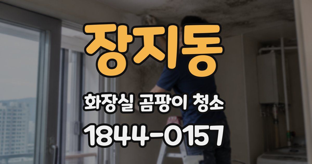 장지동 화장실 곰팡이 청소