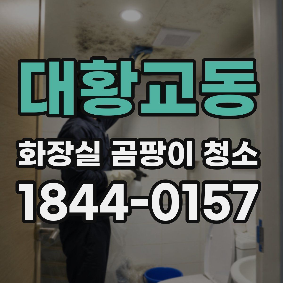 대황교동 화장실 곰팡이 청소 환기 상태에 따라 달라지는 포인트