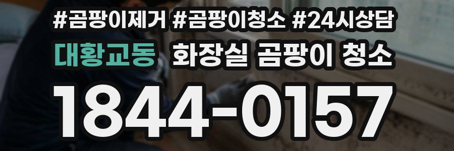 대황교동 화장실 곰팡이 청소