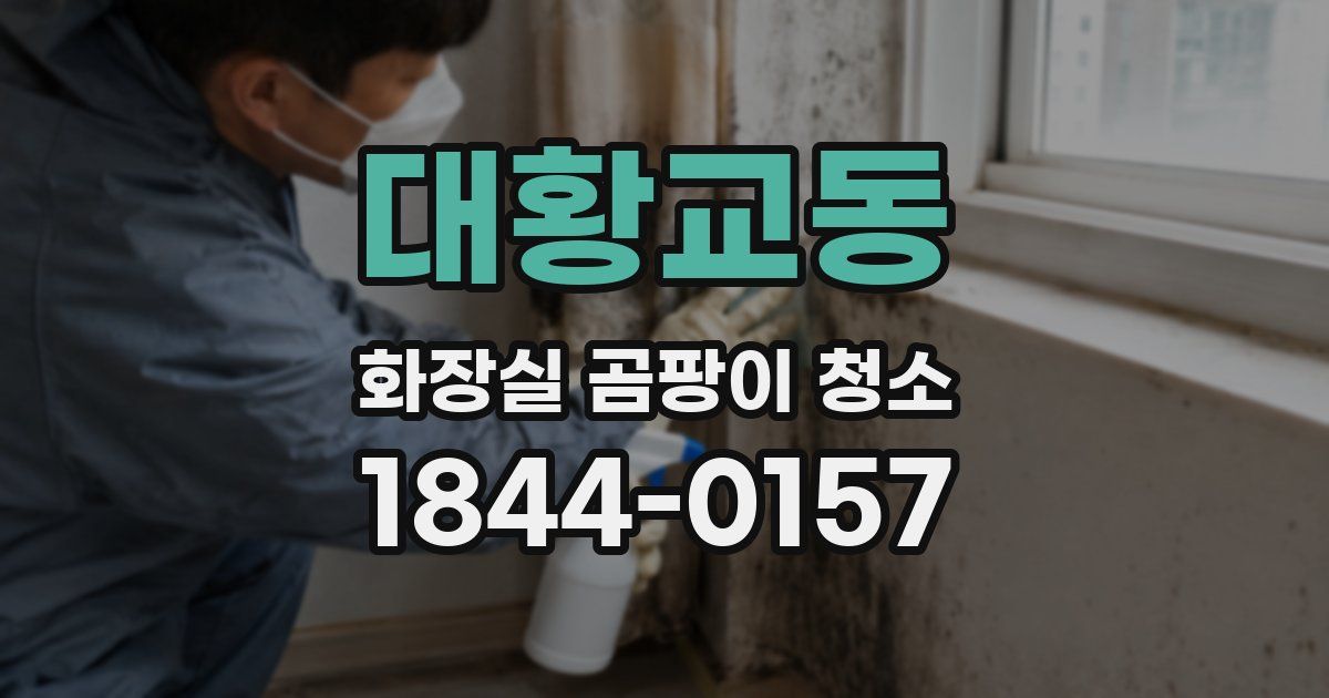 대황교동 화장실 곰팡이 청소