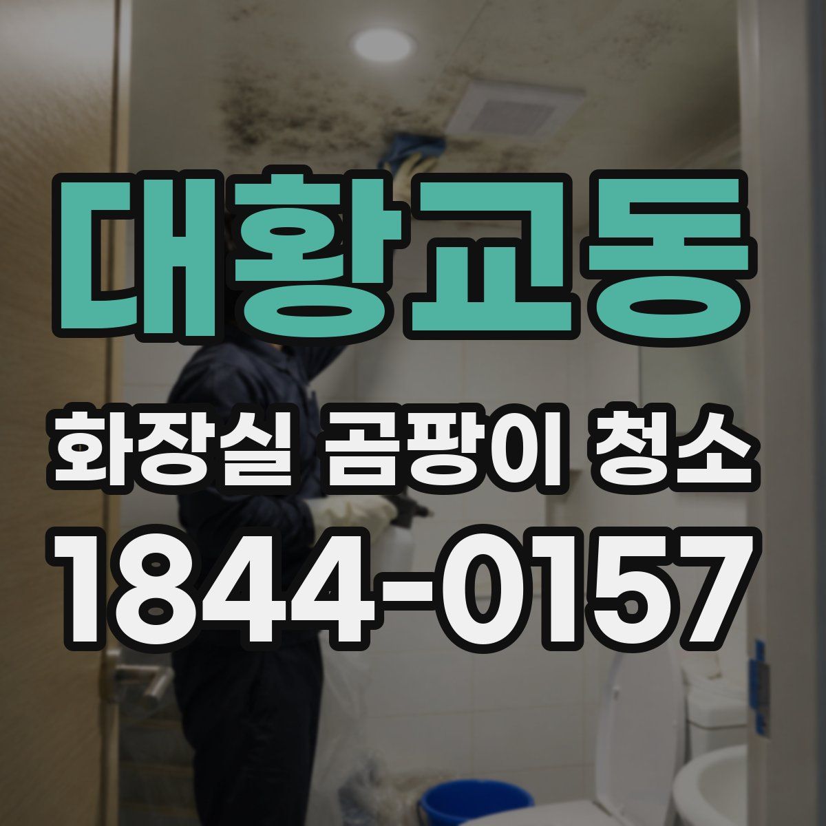 대황교동 화장실 곰팡이 청소