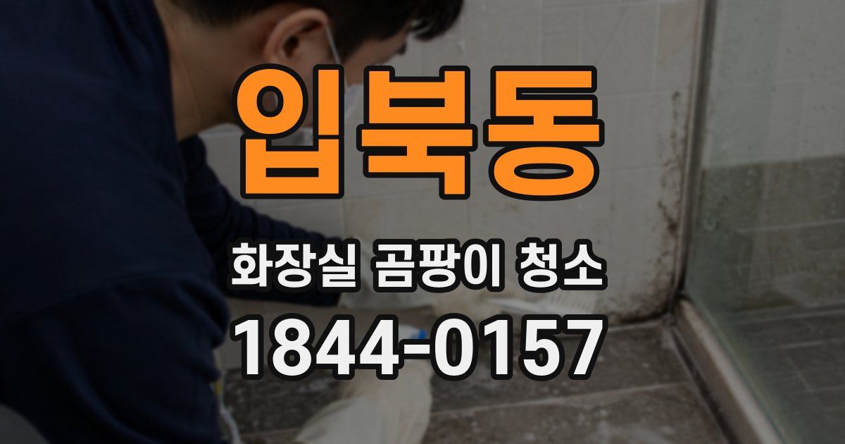 입북동 화장실 곰팡이 청소