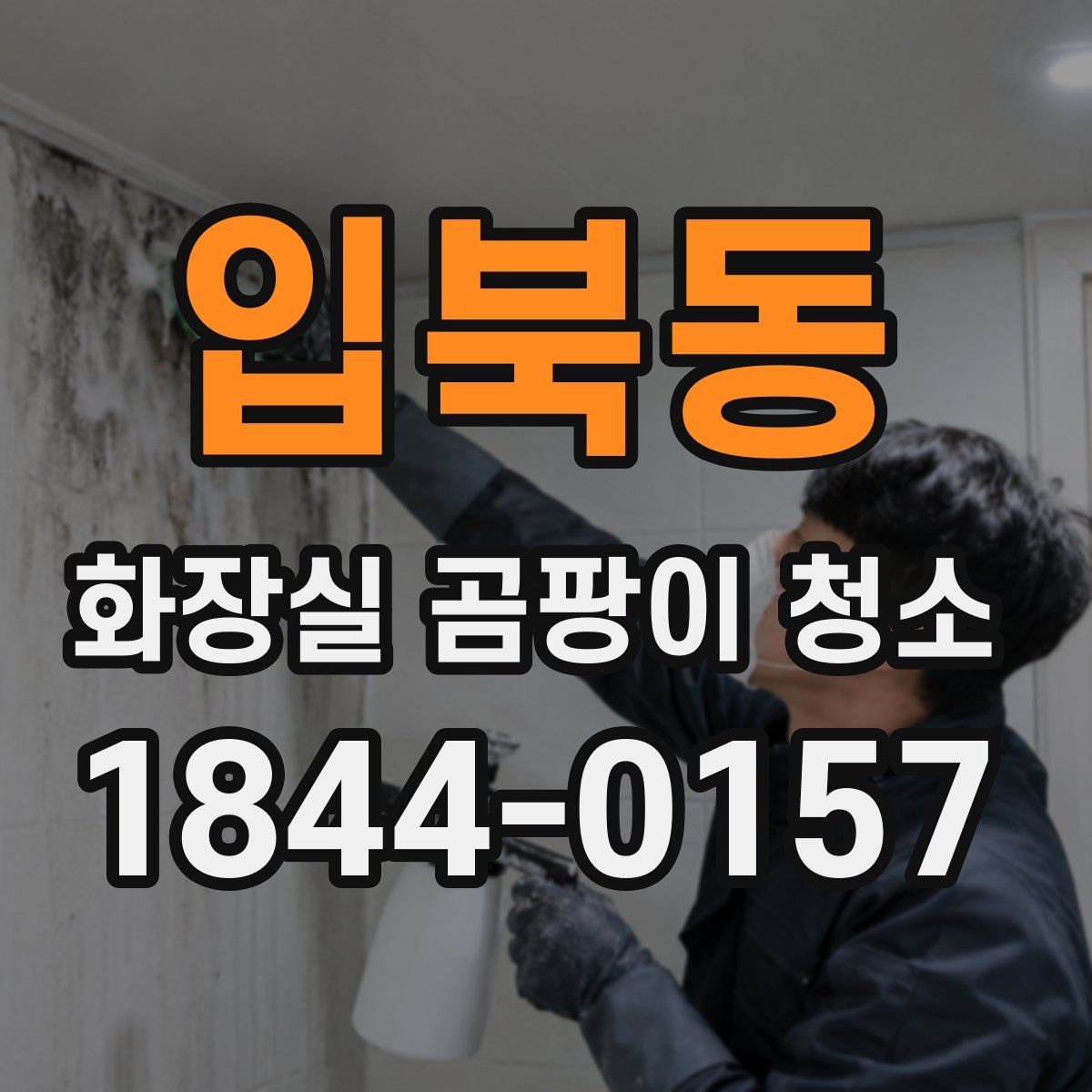 입북동 화장실 곰팡이 청소