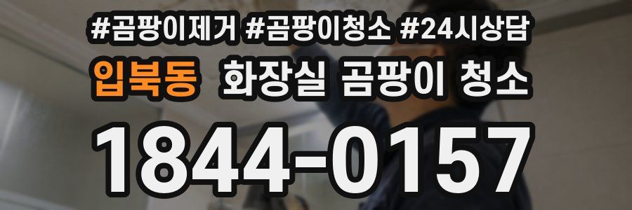 입북동 화장실 곰팡이 청소