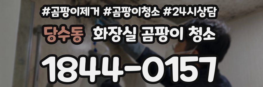 당수동 화장실 곰팡이 청소