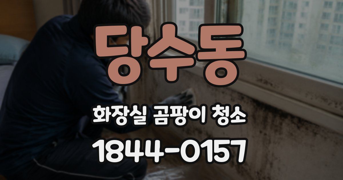 당수동 화장실 곰팡이 청소