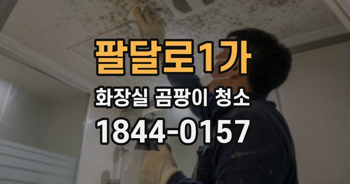 팔달로1가 화장실 곰팡이 청소