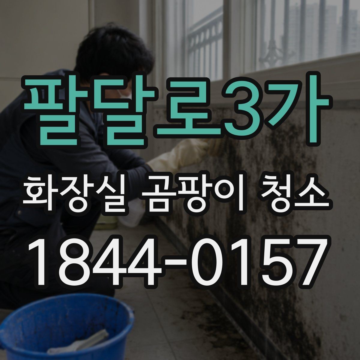 팔달로3가 화장실 곰팡이 청소 천장 쪽 오염이 생기는 원인과 대처