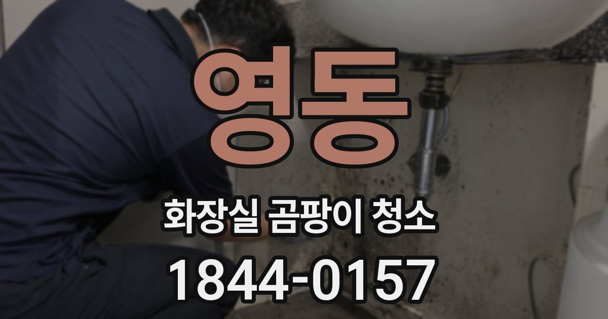 영동 화장실 곰팡이 청소