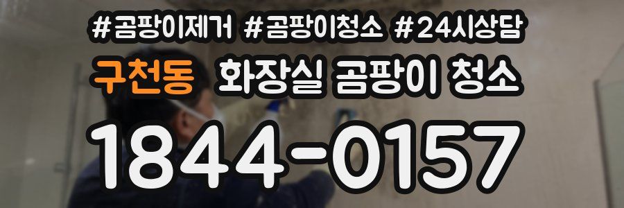 구천동 화장실 곰팡이 청소