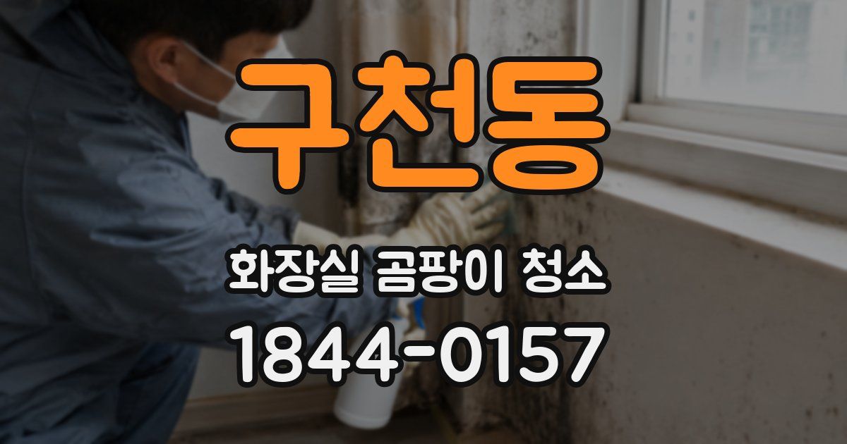 구천동 화장실 곰팡이 청소