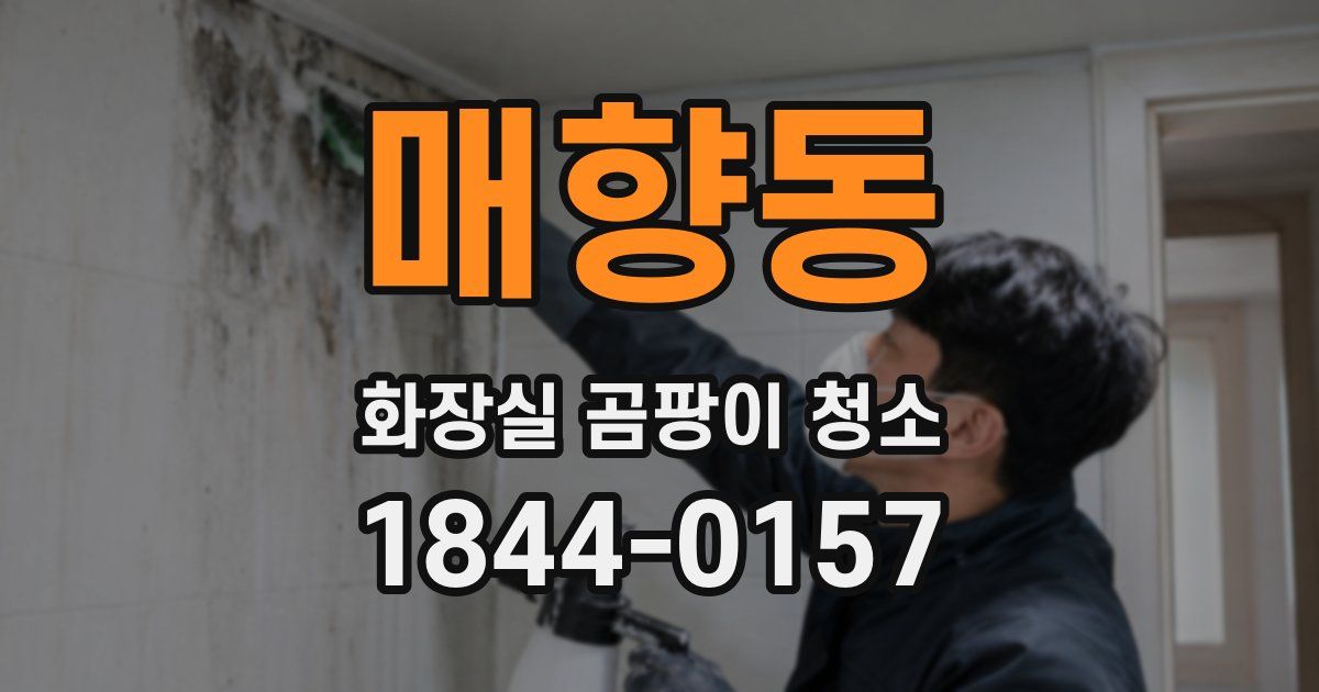 매향동 화장실 곰팡이 청소
