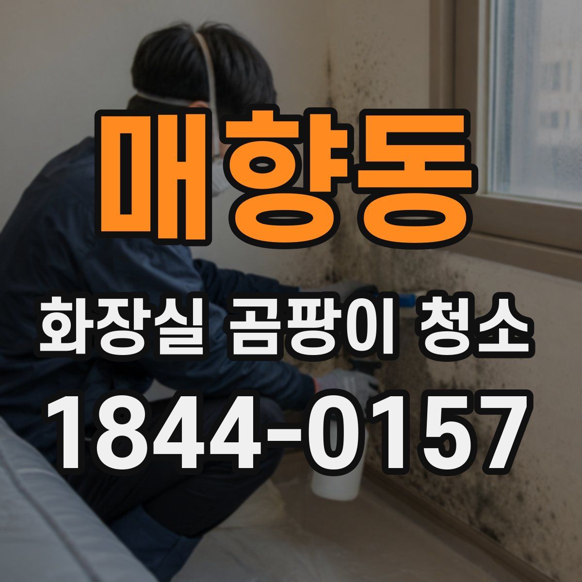 매향동 화장실 곰팡이 청소