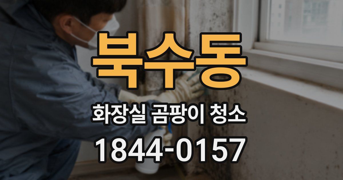 북수동 화장실 곰팡이 청소