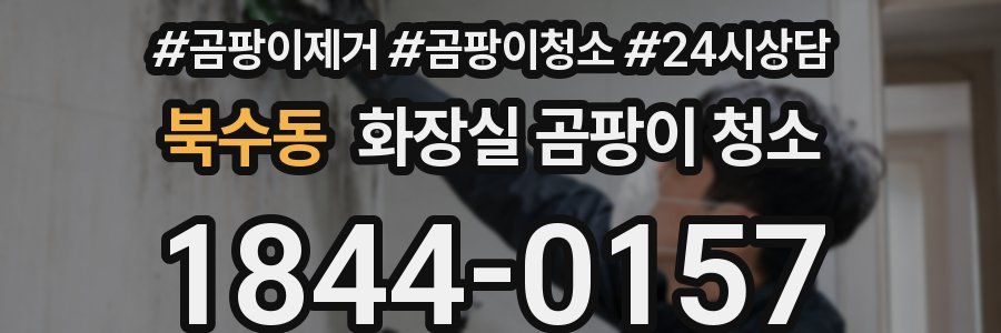 북수동 화장실 곰팡이 청소