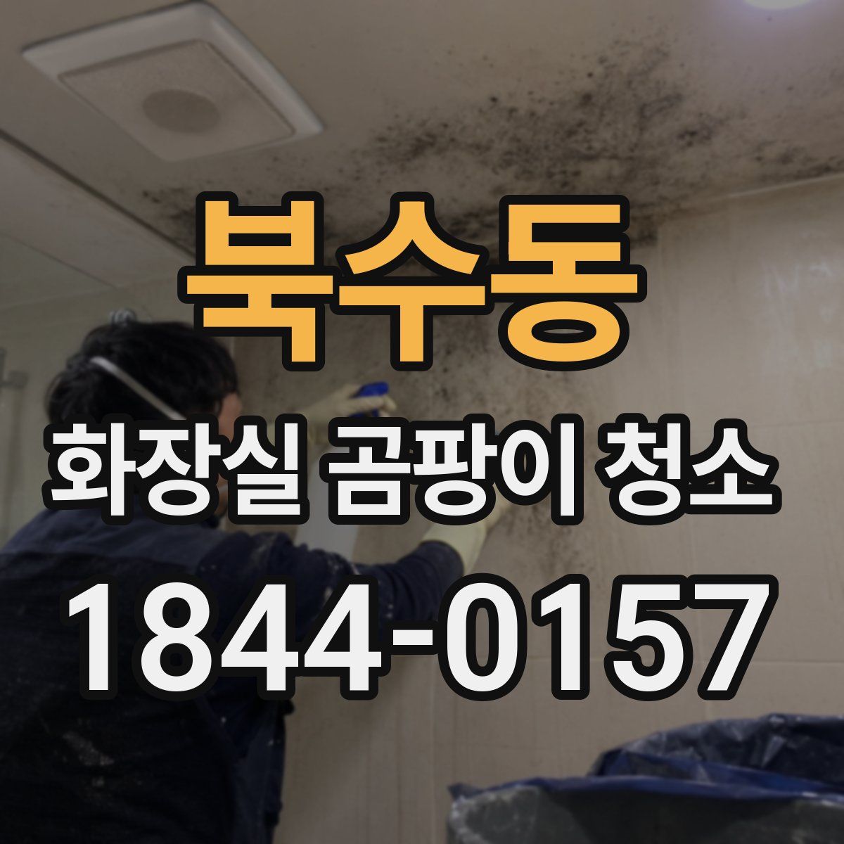 북수동 화장실 곰팡이 청소