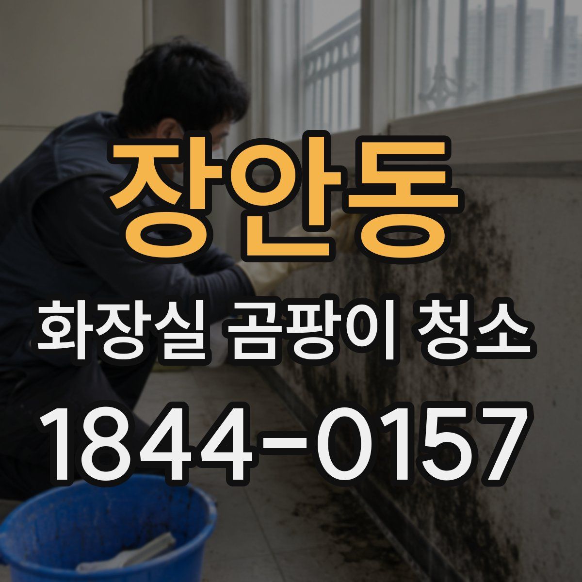 장안동 화장실 곰팡이 청소