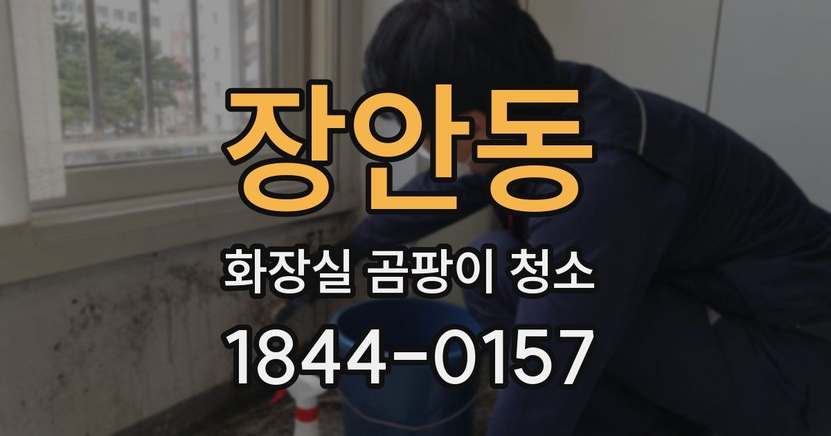 장안동 화장실 곰팡이 청소