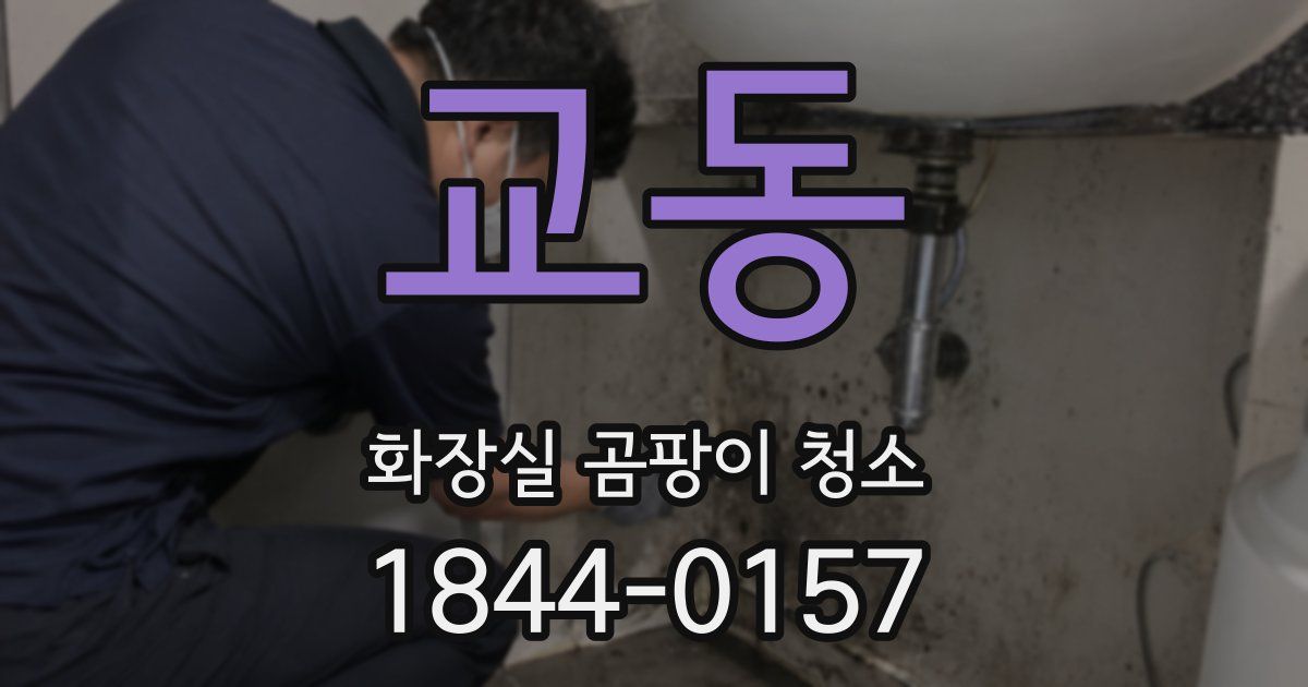 교동 화장실 곰팡이 청소