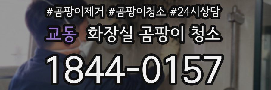 교동 화장실 곰팡이 청소