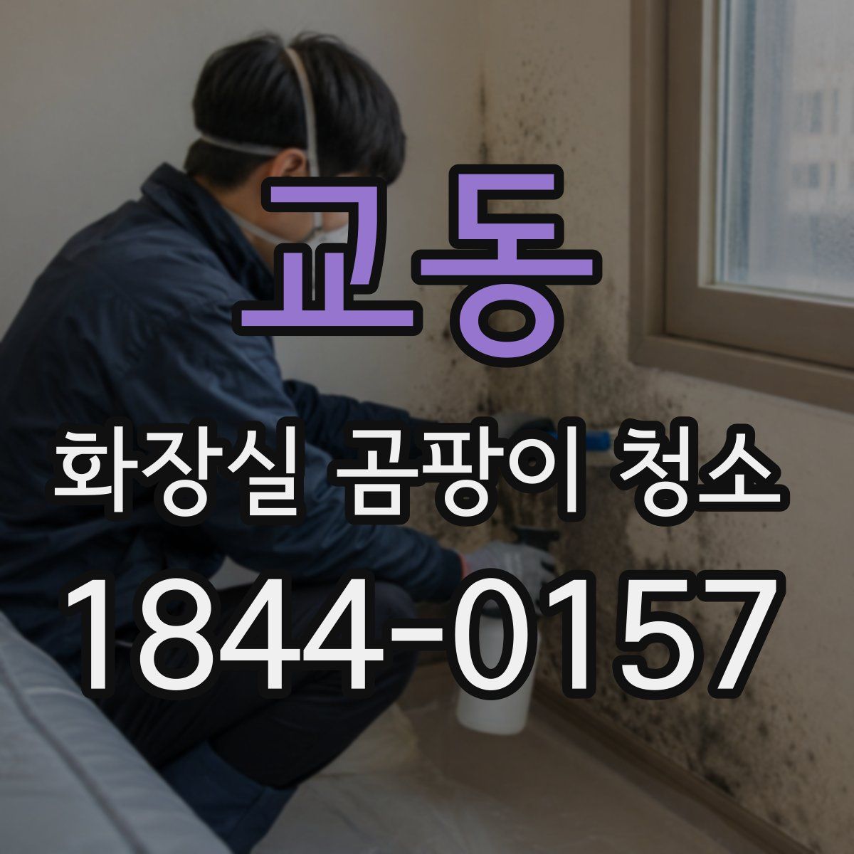 교동 화장실 곰팡이 청소
