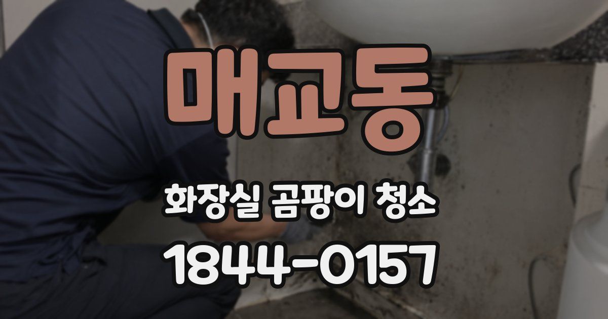 매교동 화장실 곰팡이 청소