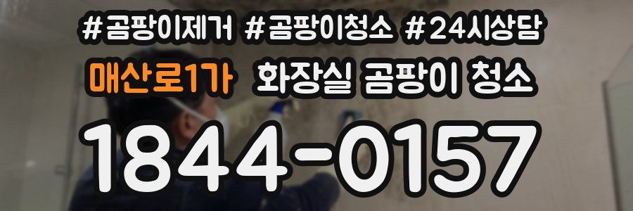 매산로1가 화장실 곰팡이 청소