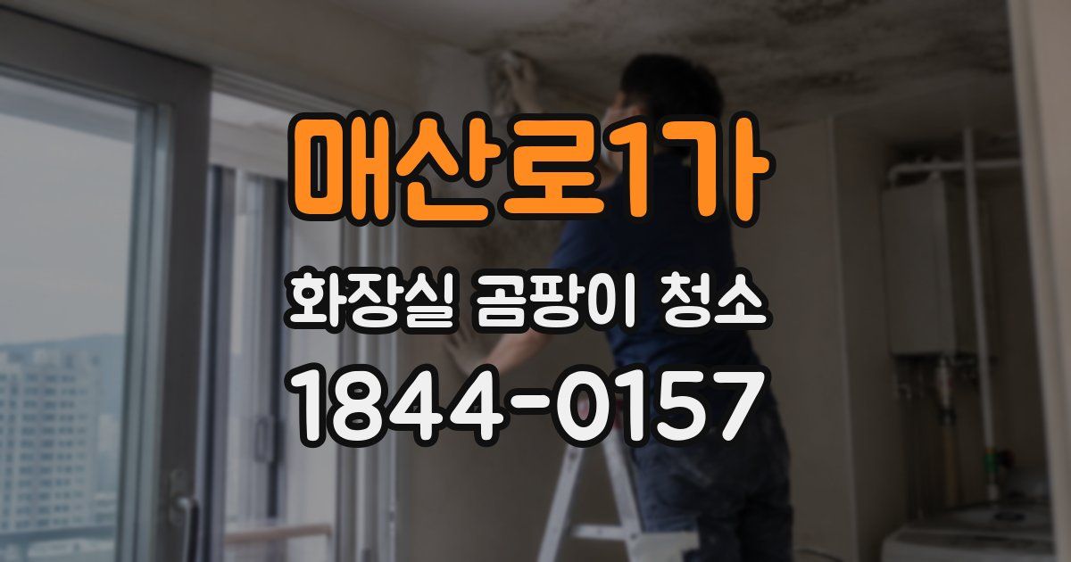 매산로1가 화장실 곰팡이 청소