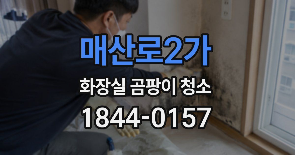 매산로2가 화장실 곰팡이 청소