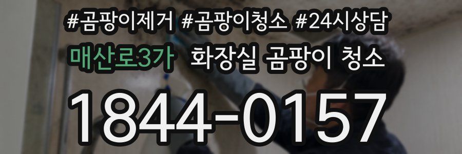 매산로3가 화장실 곰팡이 청소