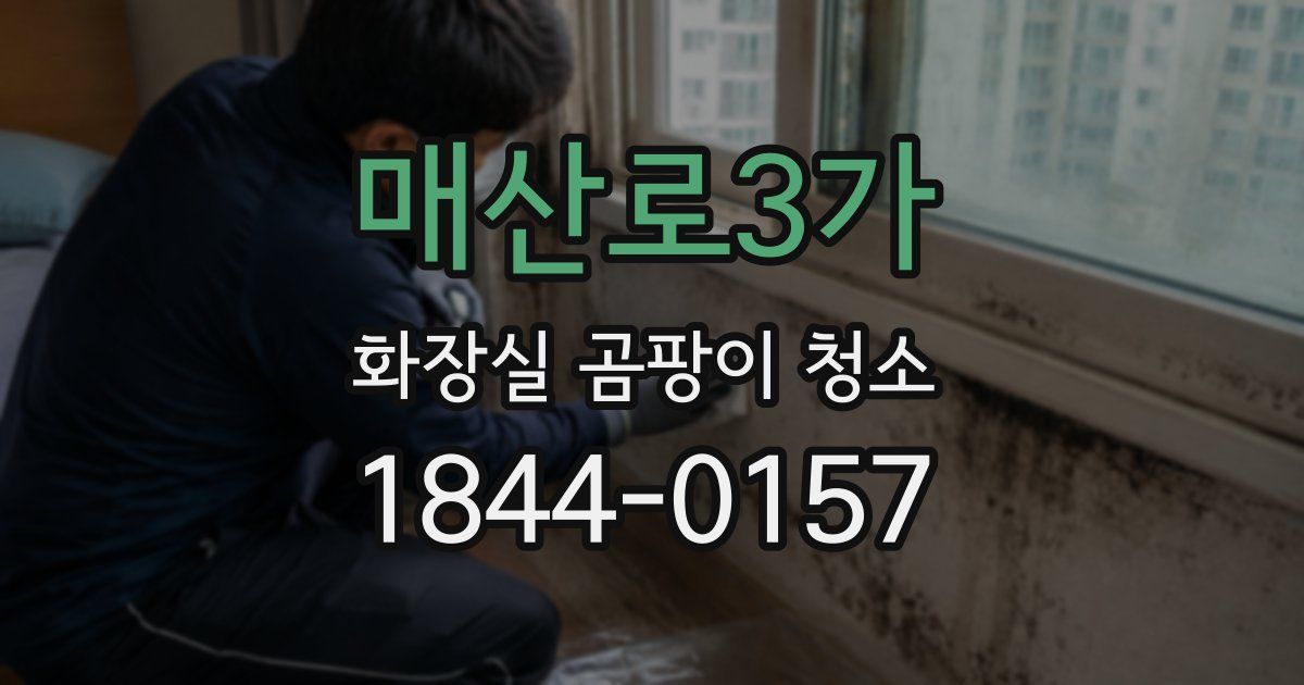 매산로3가 화장실 곰팡이 청소