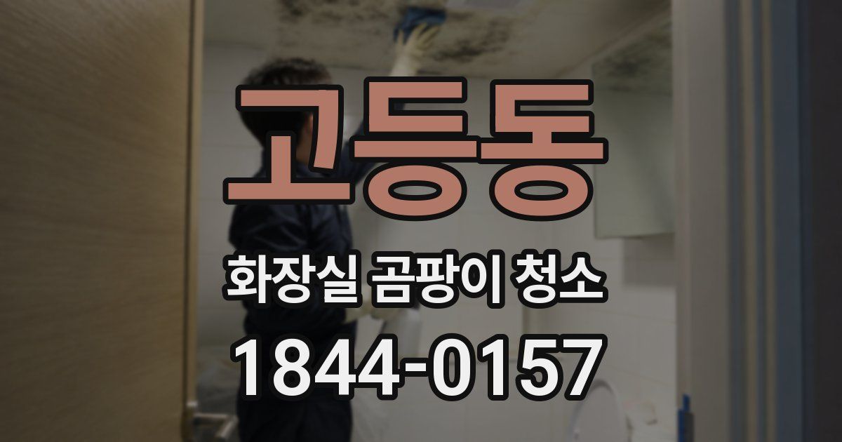 고등동 화장실 곰팡이 청소