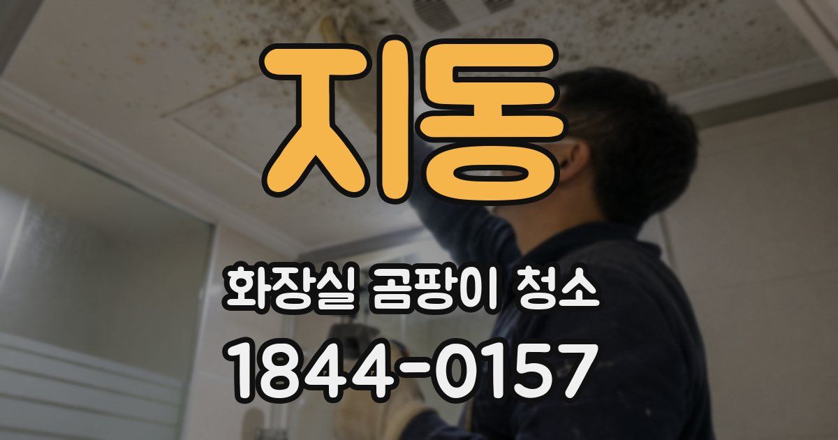 지동 화장실 곰팡이 청소